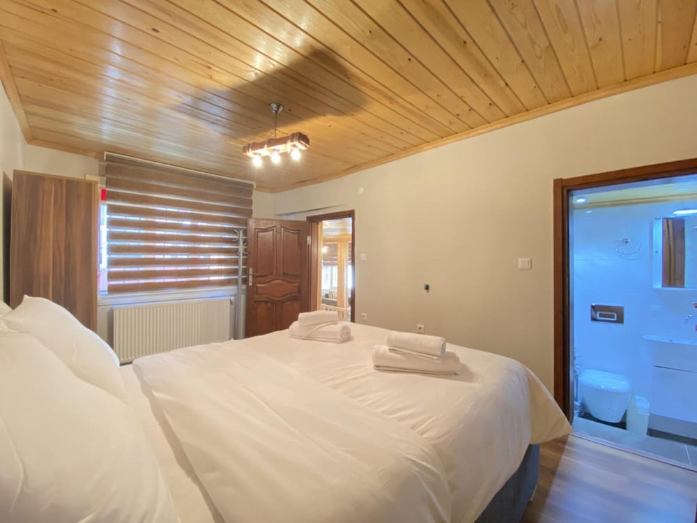 Historical Duplex Villa With Patio in Beyoglu