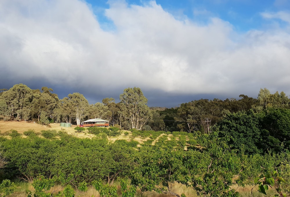 Taralee Orchards