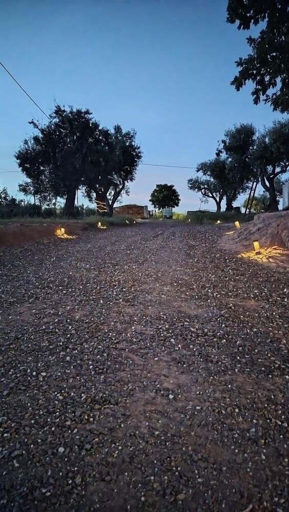 Terras do Salvado Agroturismo