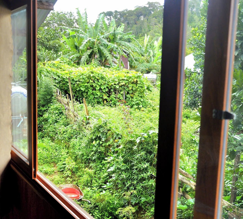 Thanh Binh Homestay Mang Den TT Mang Den