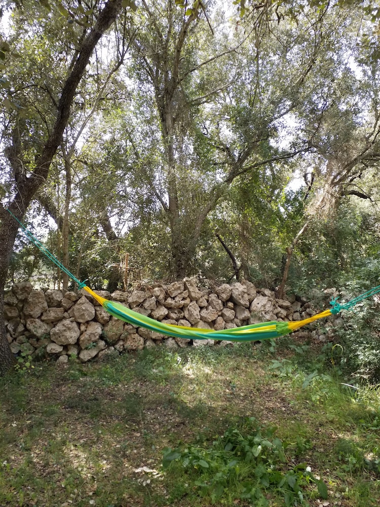 Can Madis Enjoy Your Holidays in the Very Heart of Mallorca photo 4