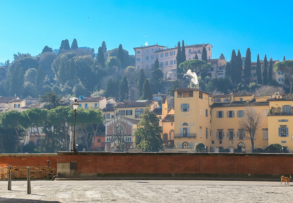 Malenchini Vasari