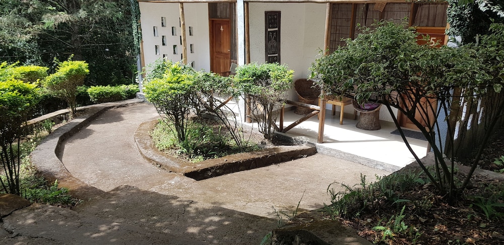 Photo 21