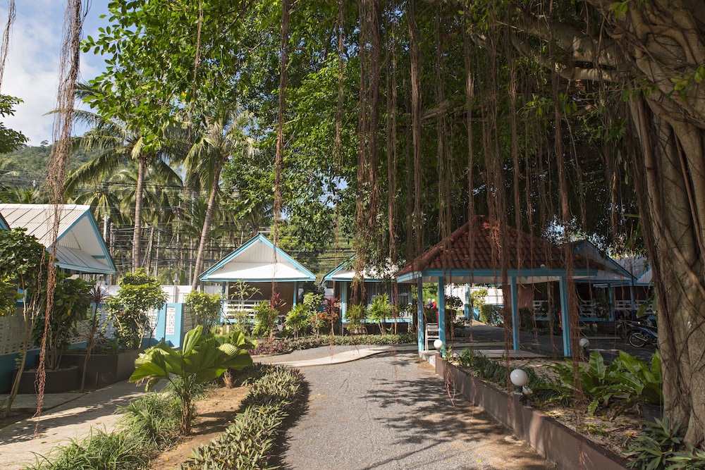 Photo 66