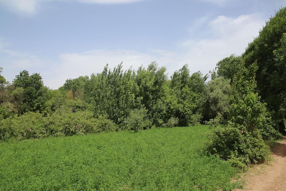 Maison d'hôte Tizwiyate Dades