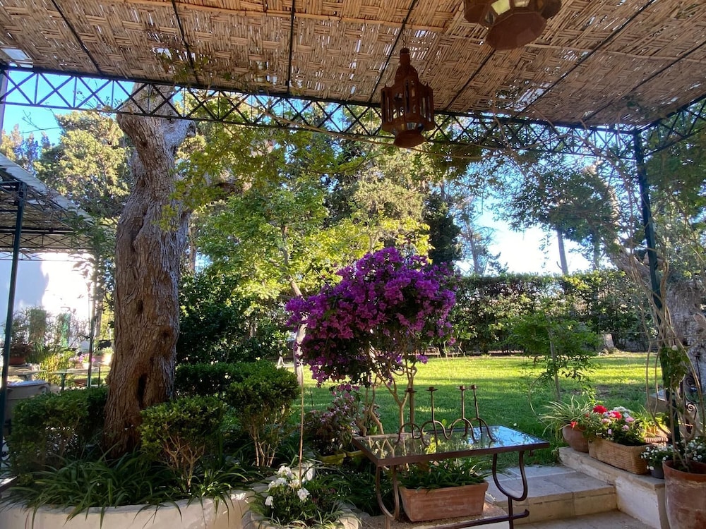 Tenuta Belvedere