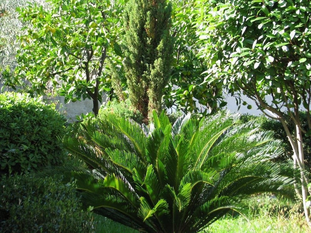 Photo 22