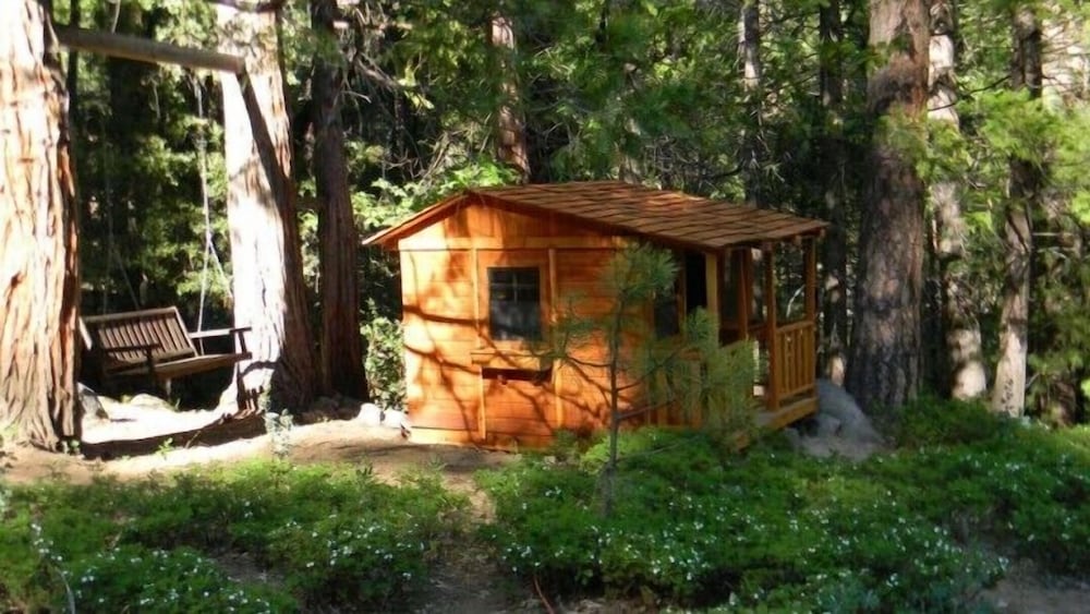 Yosemite Scenic Wonders - Wawona Area
