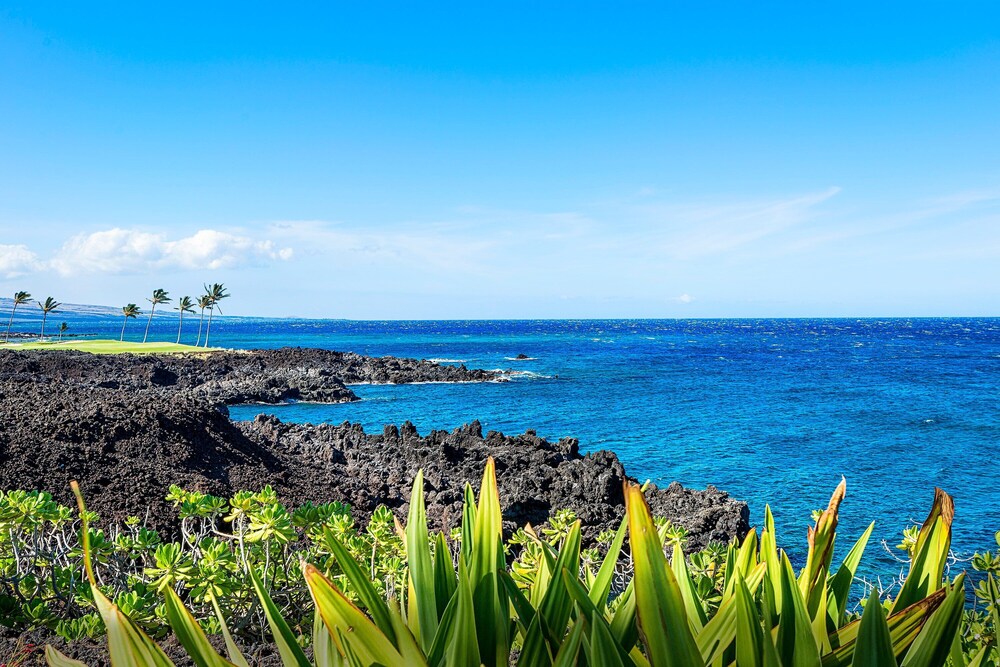 Complete Remodel Stunning Ocean Views Discount of Golf