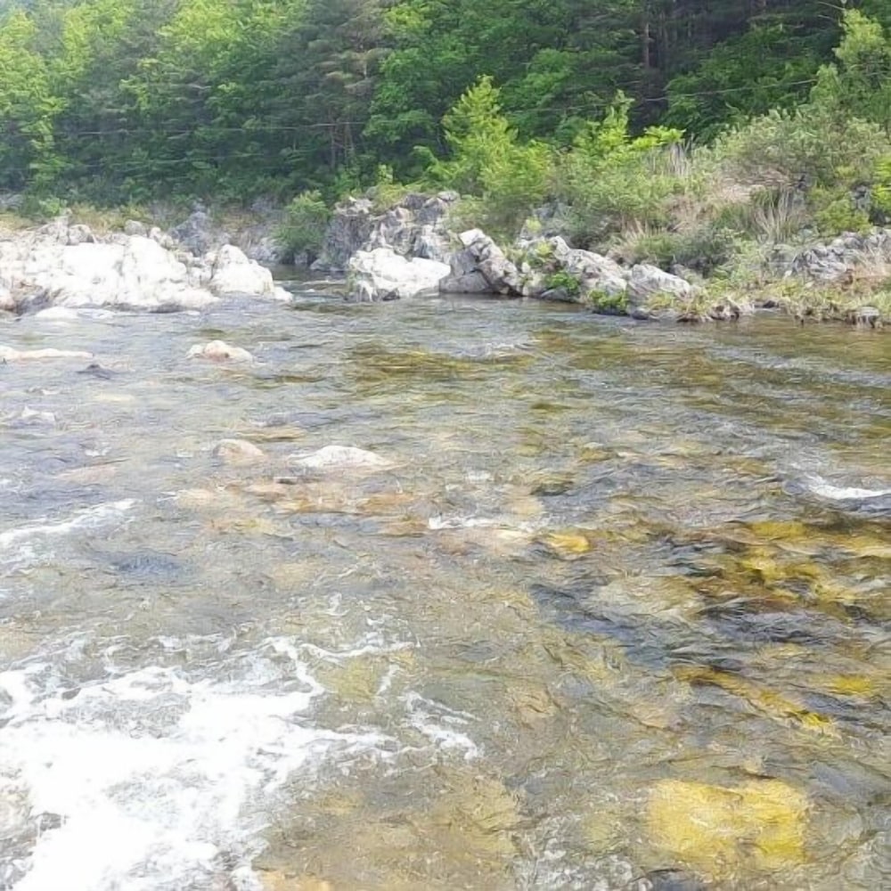 Caddis Pension