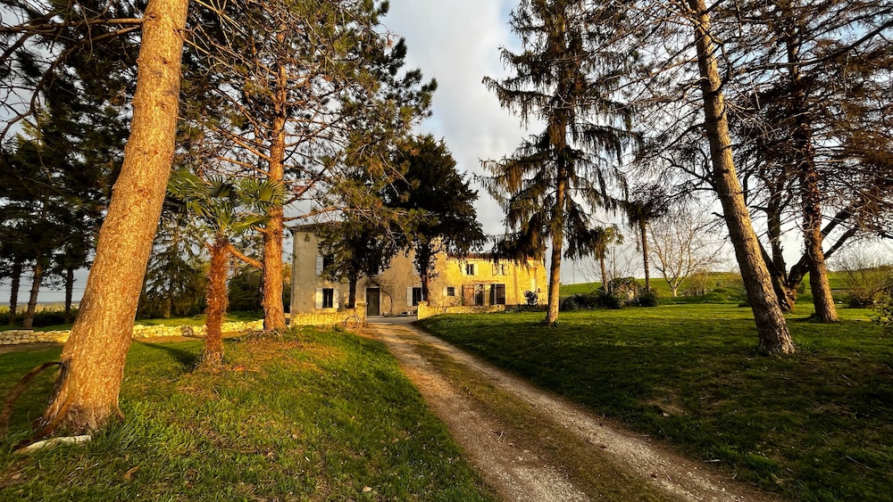 Photo 25