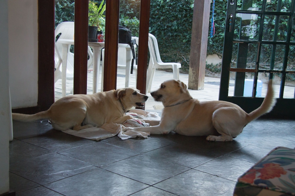 Homestay Búzios