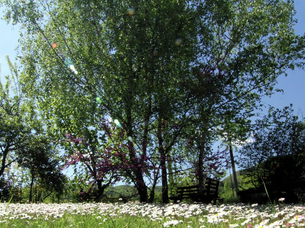 Photo 35