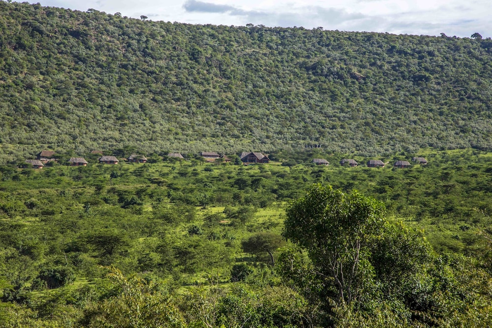 Spirit Of The Masai Mara
