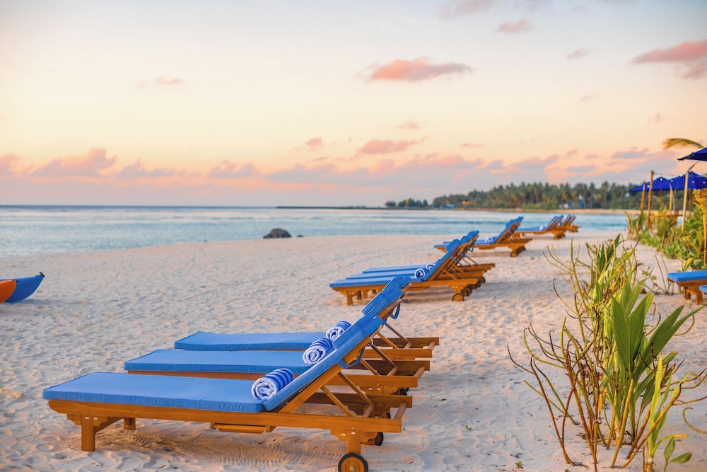 The Maverick Surf and Dive Boutique Hotel
