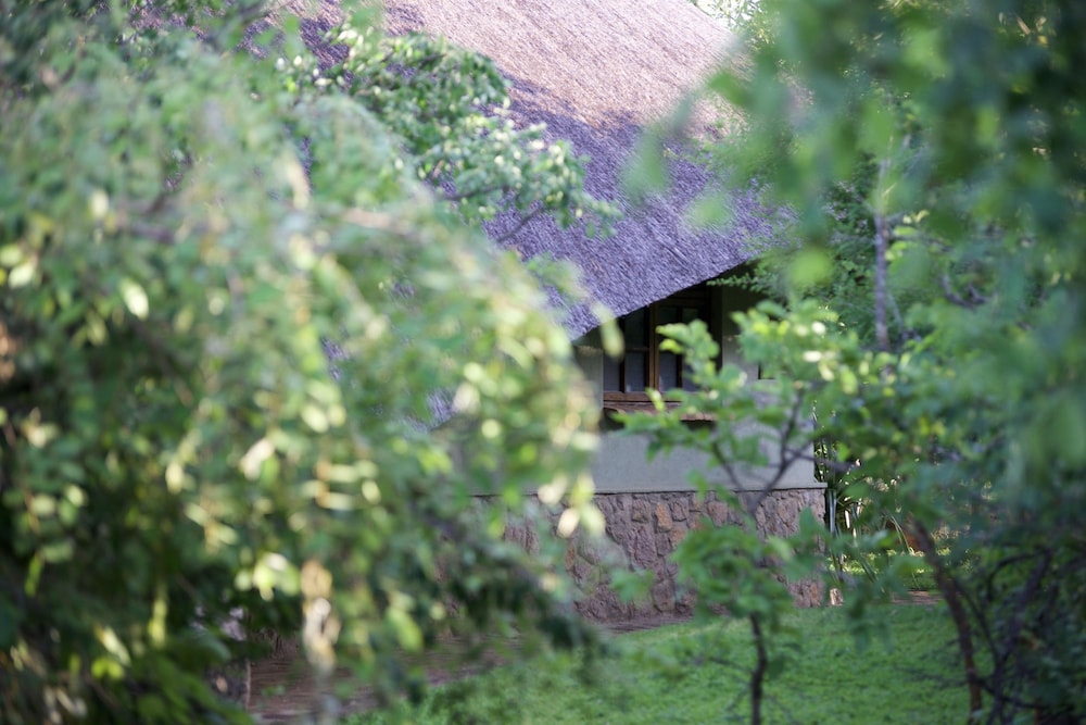Family Lodge in Natural African Bush - 2113