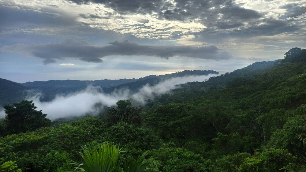 Taorayiná nature reserve