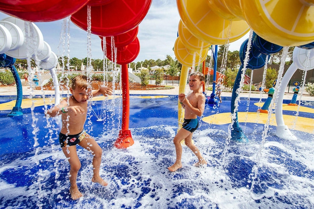 Apartments in Zaton With Pool