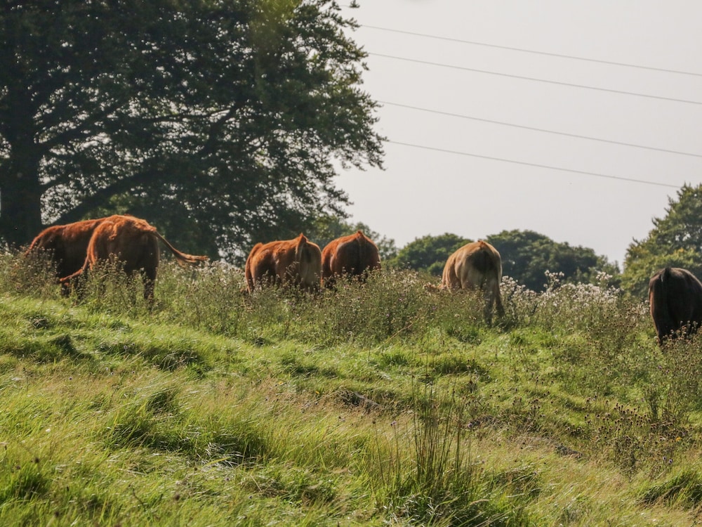 Hotel Teglgaarden bed and breakfast - Image 1