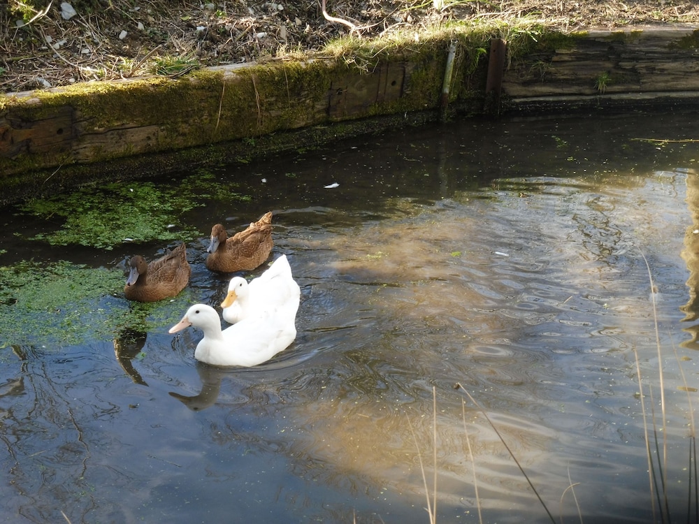 Photo 35