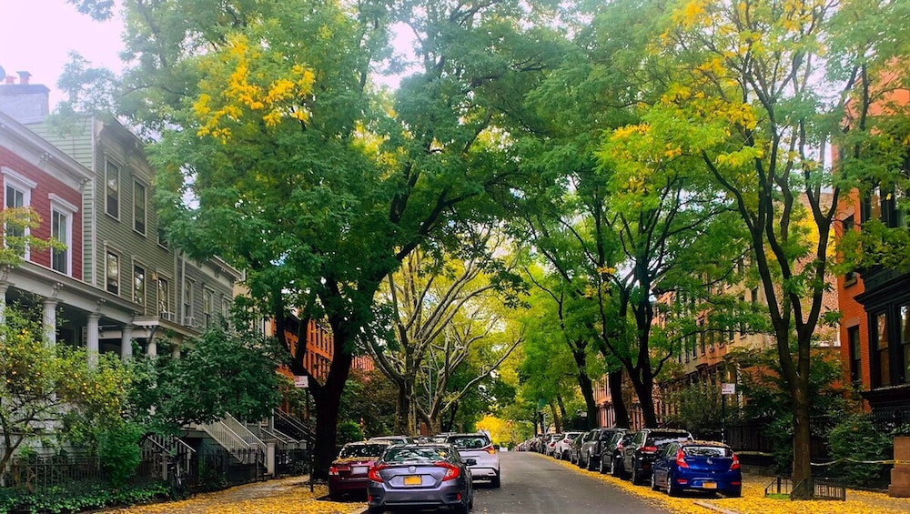 Adelphi I 3BR Ft Greene w Backyard Patio Porch