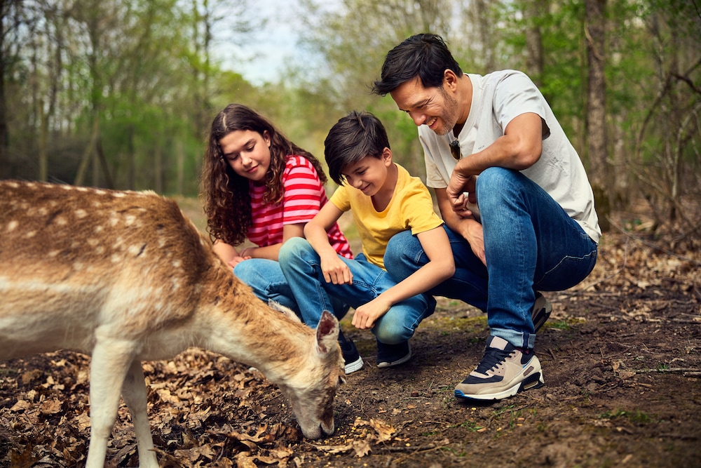 Center Parcs Le Bois aux Daims