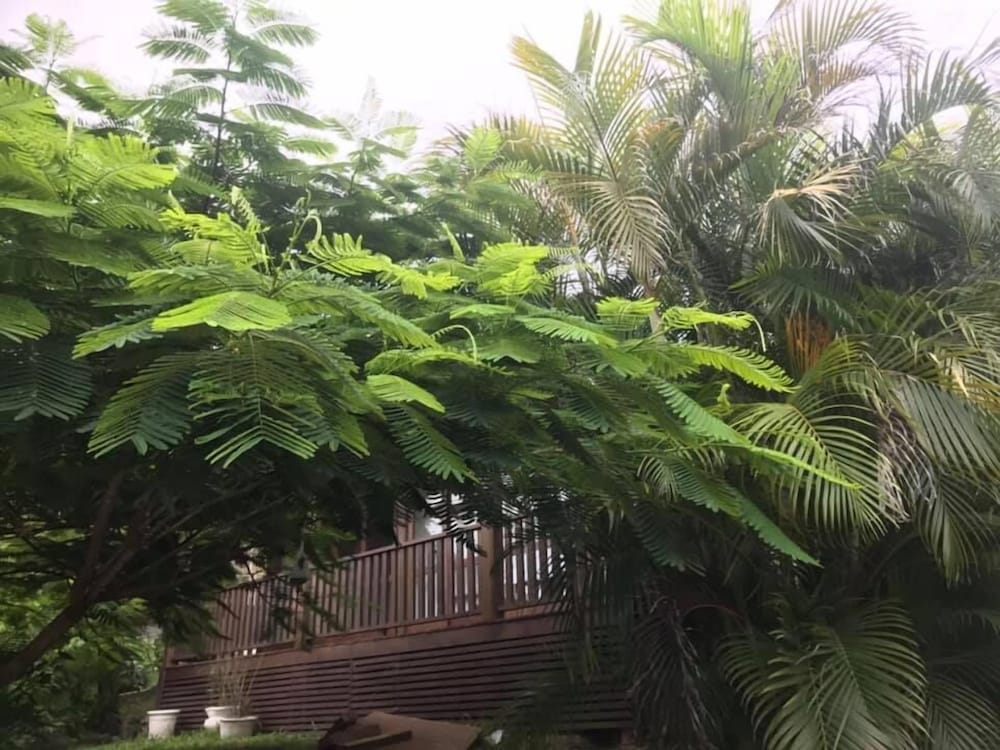 Madalua view 5