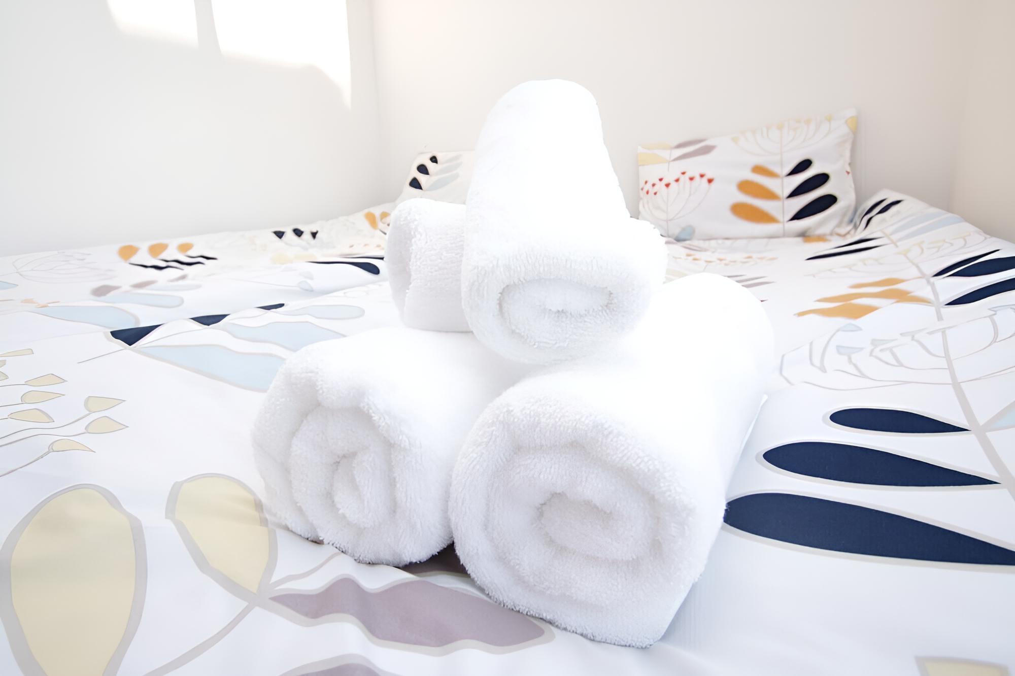 Taisho Homestay DS