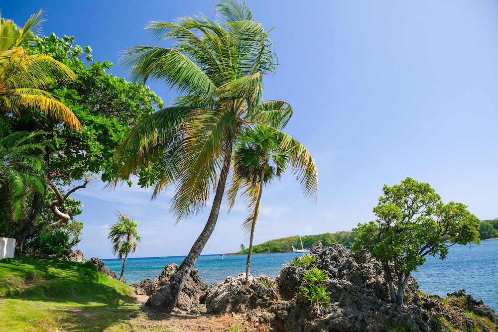 Coral Vista 3