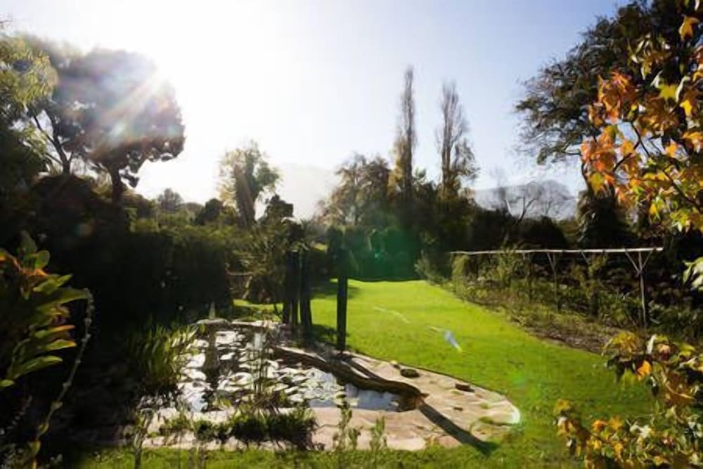 Constantia Woods