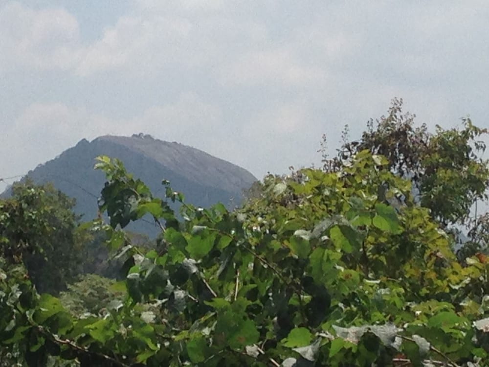 Sigiri Wilderness Resort
