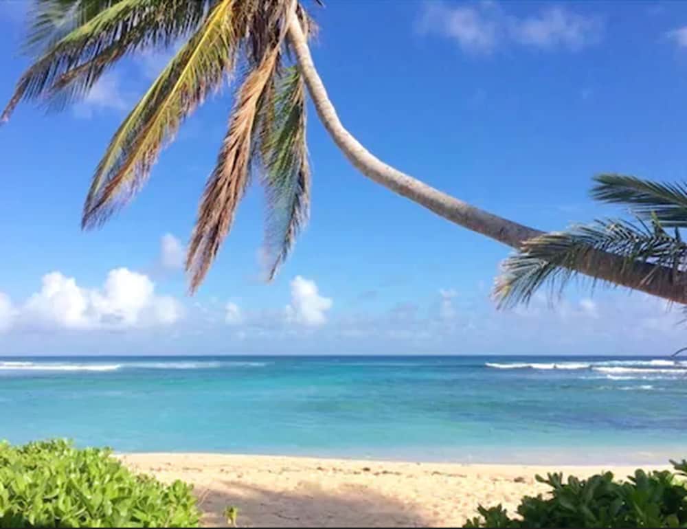 The Palms at Pelican Cove - Photo 15