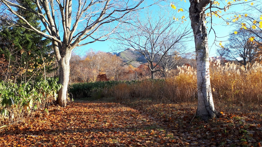 Pension & Restaurant Bistare Kana