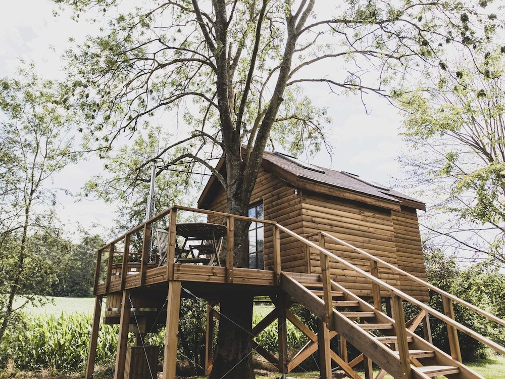 Romantic Woodland Chalet