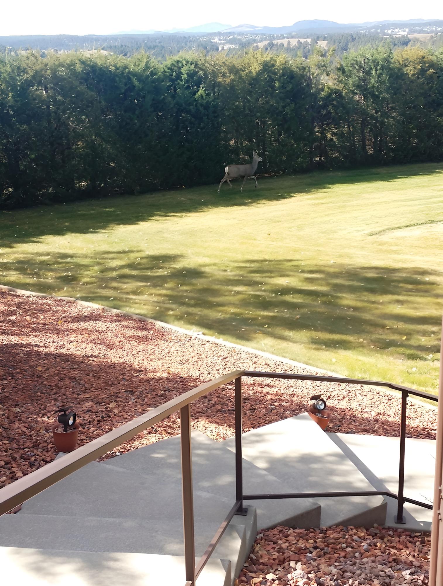 Emerald Hills B&B