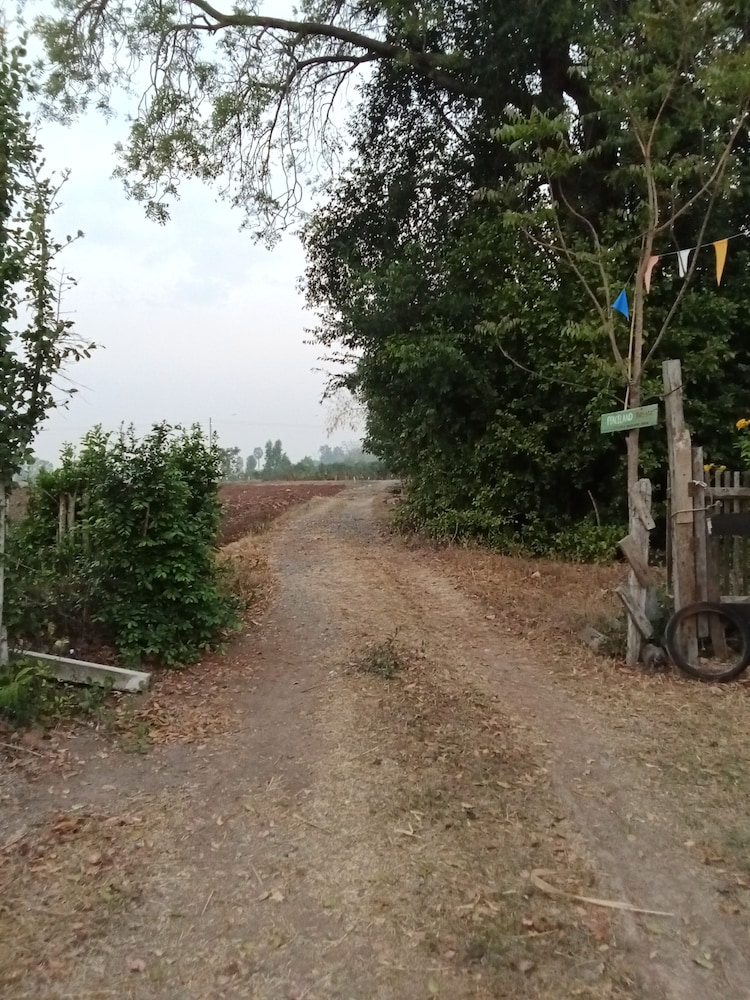Photo 49