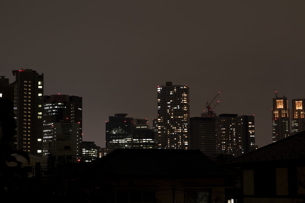 Mini Hotel Shinjuku Front 201