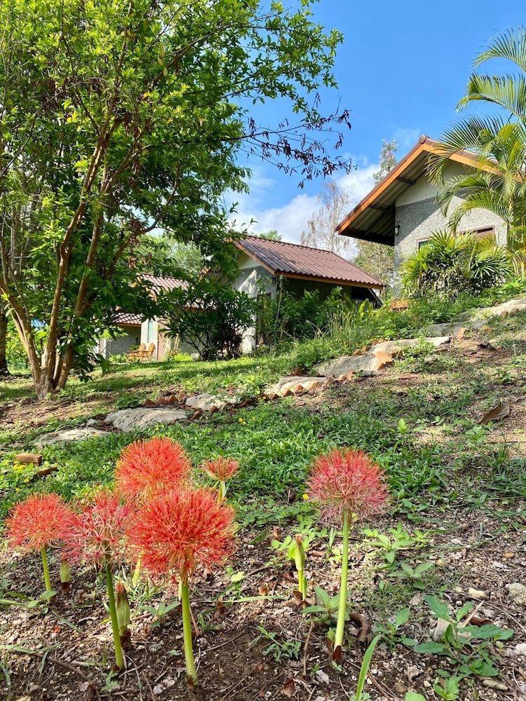 Tribal Pai Backpackers - Adults Only