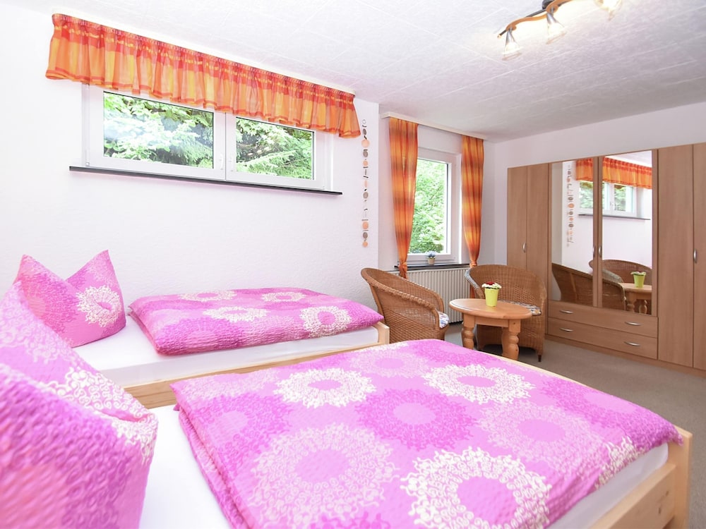Gruppen- Ferienhaus in Wieda view 4