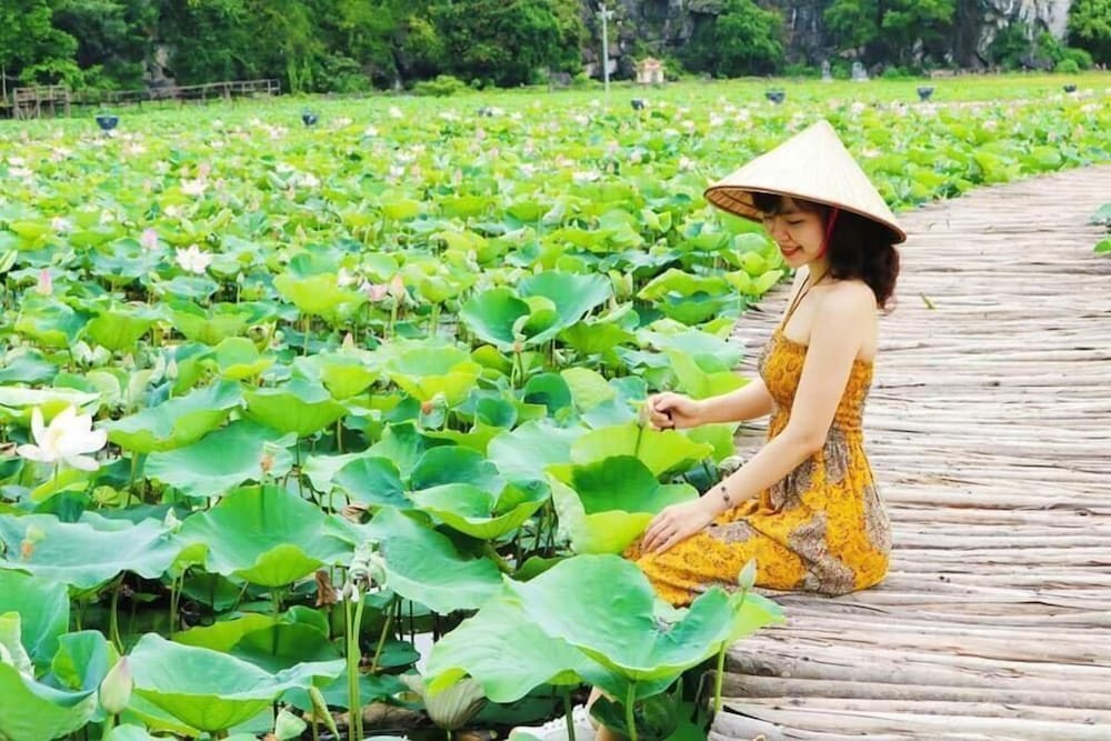 Tam Coc Craft Homestay