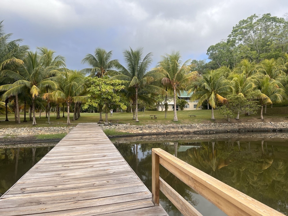 Los Olingos Lodge - Bird Paradise