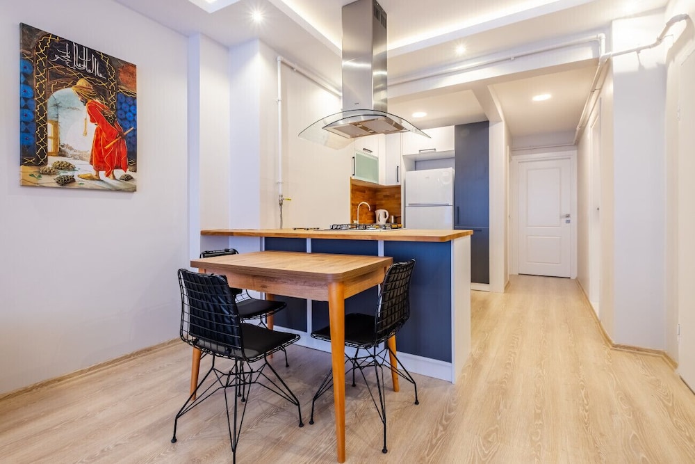 Splendid Flat in the Heart of Cihangir