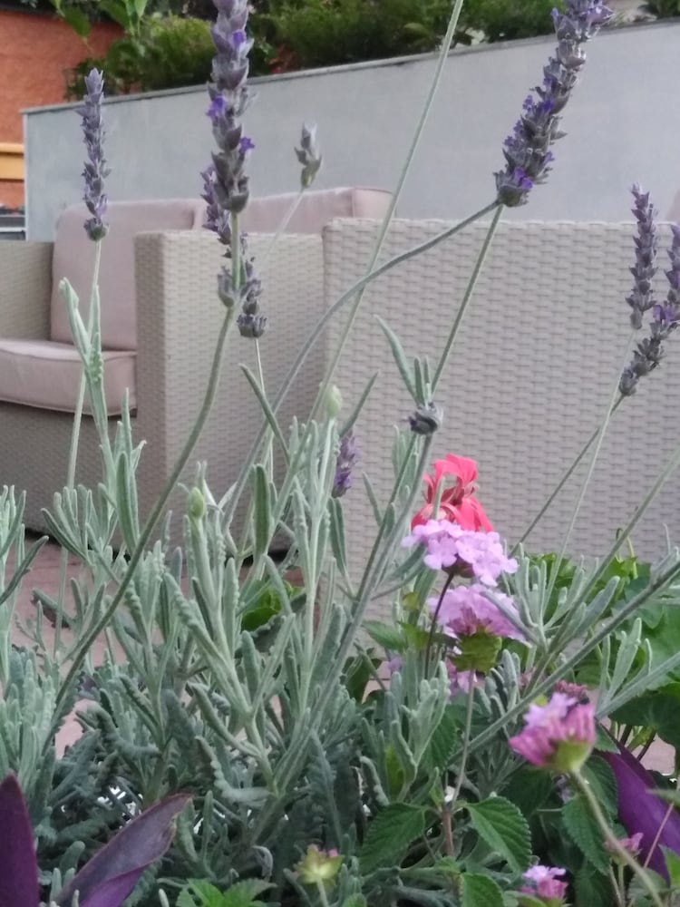 Outdoor Space
