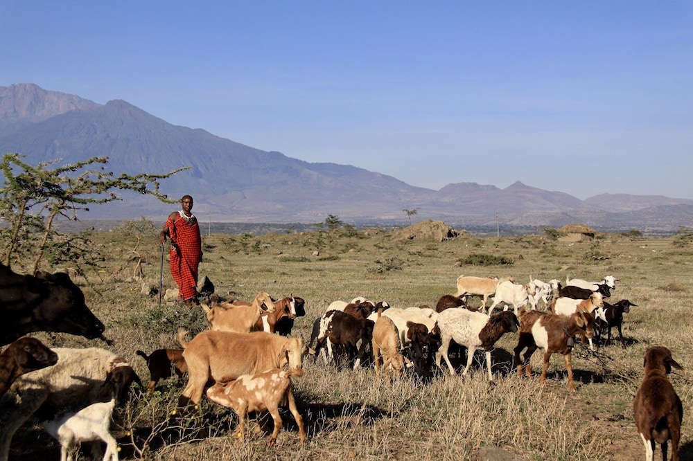 Osiligilai Maasai Lodge