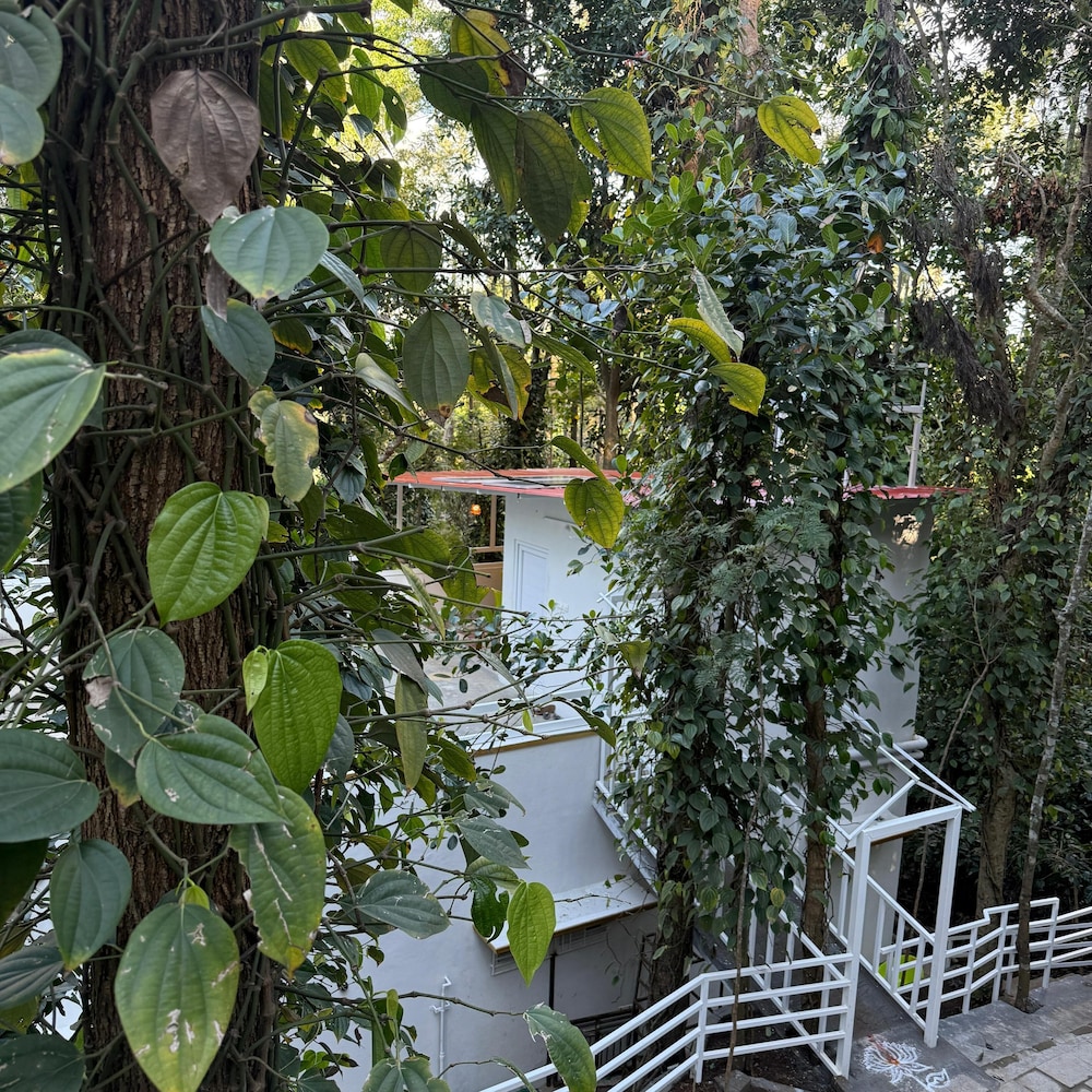 Green Haven Resort