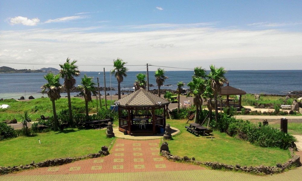 Ocean Bestvill