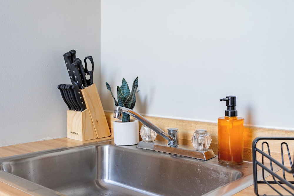 1BR Apt in Lincoln Park - Lincoln 3E