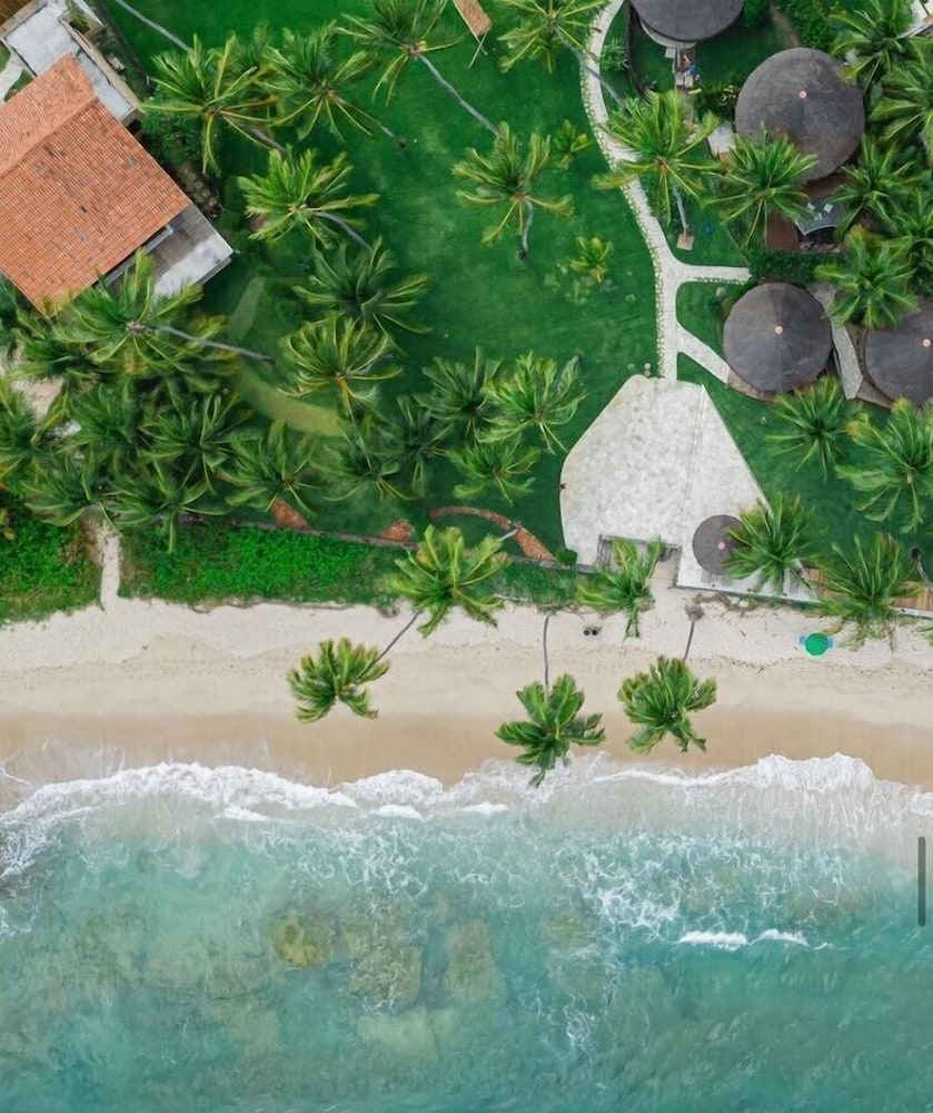 Carneiros Paradiso