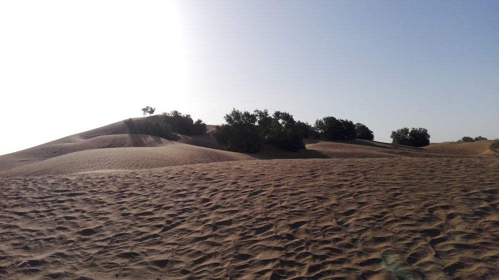 Kasbah Aladdin, photo 17