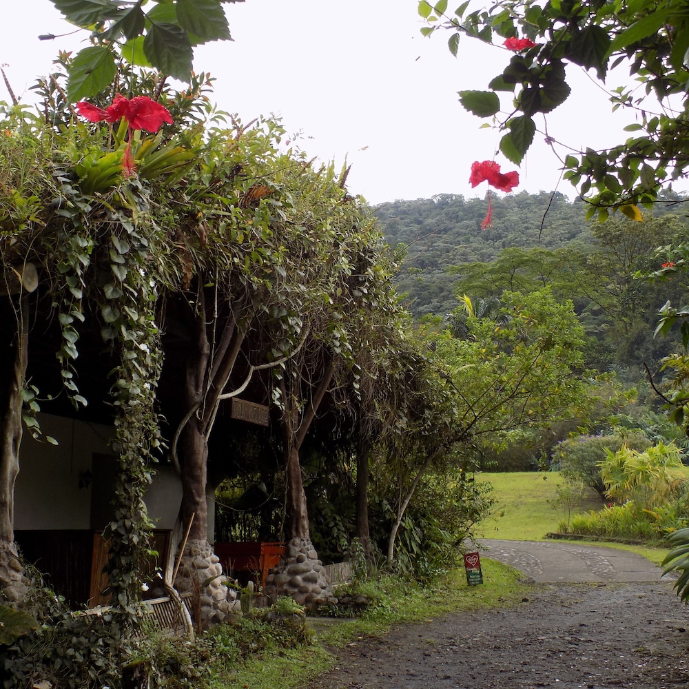 Rancho Margot